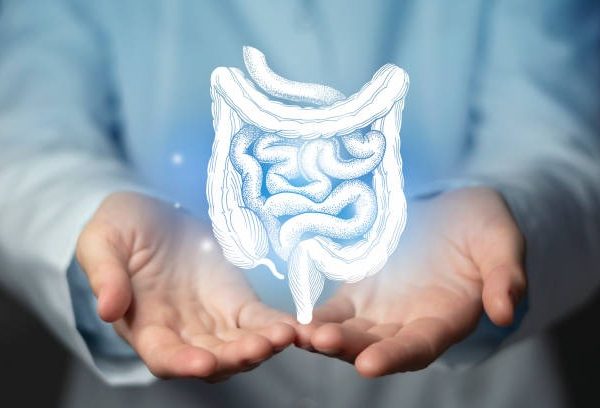 Understanding the Importance of Gut Health